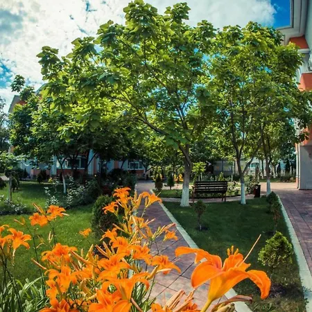 Sunny Sunny Slăntjev Brjag